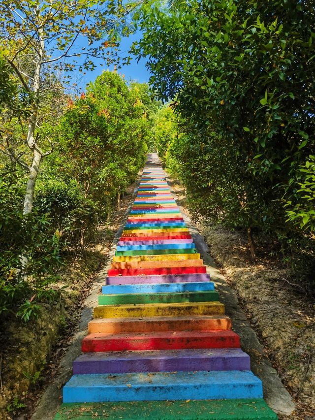 廣州出發 | 三水大南山森林公園週末行山。