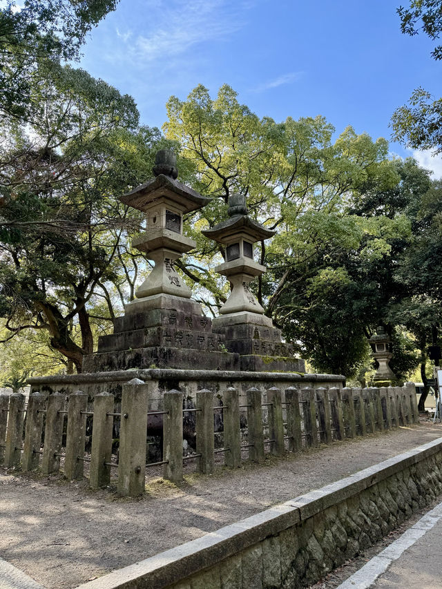 在奈良餵鹿。