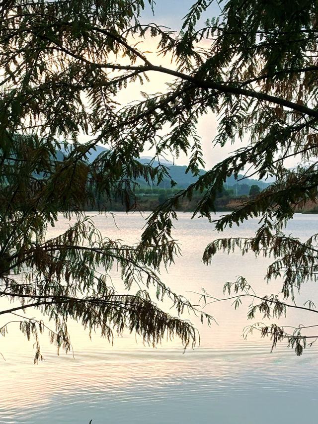 在廣州，離地鐵200米的大草坪沿湖碧道！