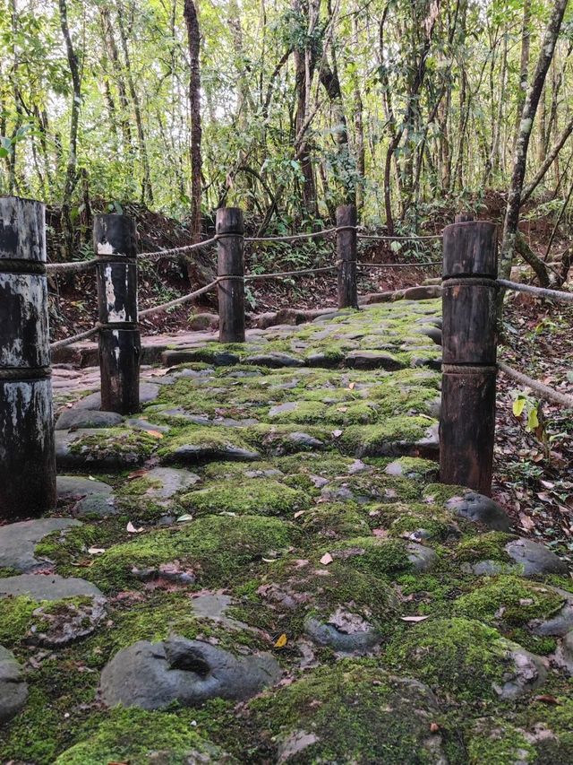 西雙版納等地2日遊超詳細攻略 玩轉不重樣。