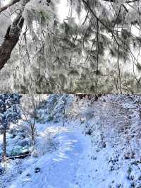 廣東出發坐高鐵，2小時就能看到雪。