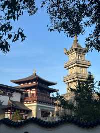 普陀山-寧波老友記：玩轉兩地不踩雷攻略。