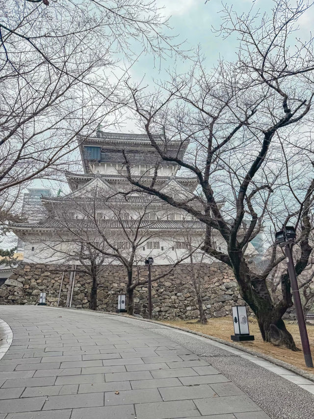 福岡小倉城全攻略🥰超推薦❤️