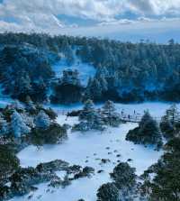 到看雪山的季節啦！！！