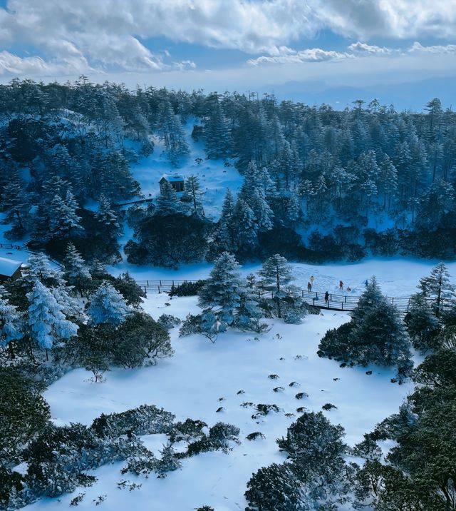 到看雪山的季節啦！！！
