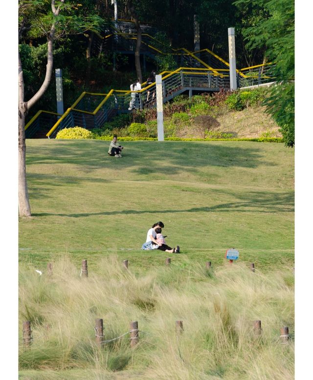 紅花山公園｜不出片可能是缺個攝影師。