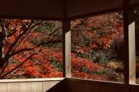 宇治|三室戶寺