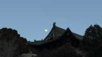 天龍山