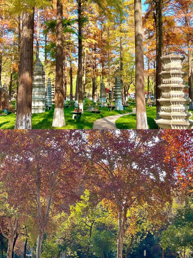 武漢現狀⋯⋯這座公園已經美出 next level