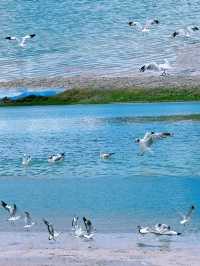 初次來庫拉岡日雪山-白馬錯跟我一起 Citywalk 吧