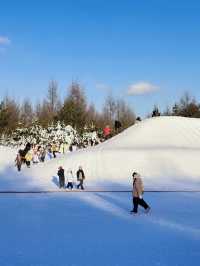 長白山二道雪絨花的浪漫之約