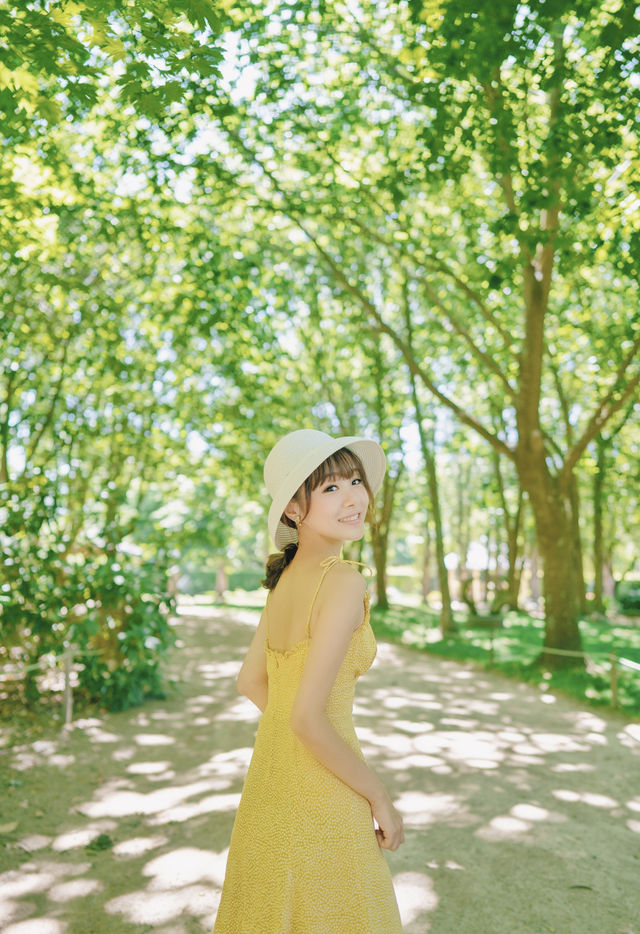 墨爾本遛娃，打卡莫寧頓半島的雅思迷宮和薰衣草花園