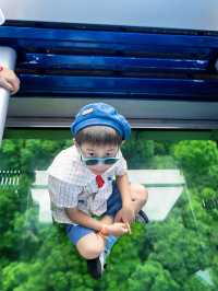 人生建議，帶孩子一定要坐一次海上纜車