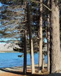 新西蘭 | 童話般的特卡波湖 Lake Tekapo