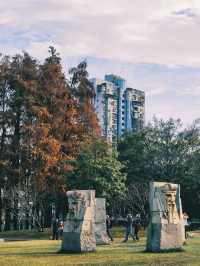 四海公園的浪漫冬日