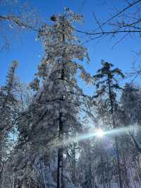 黑龍江的「富士山」，像是走進了林海雪原的夢裏