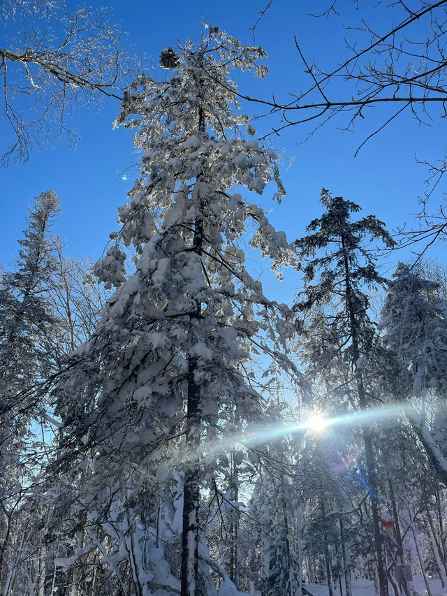 黑龍江的「富士山」，像是走進了林海雪原的夢裏