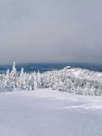 Explore the Dynamic Skiing Experience at Shiga Kogen Ski Resort in Nagano