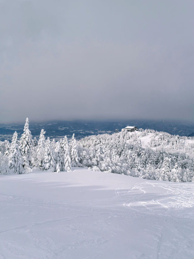 Explore the Dynamic Skiing Experience at Shiga Kogen Ski Resort in Nagano