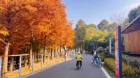 浦東濱江的Cityride，多少次都騎不夠