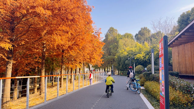 浦東濱江的Cityride，多少次都騎不夠