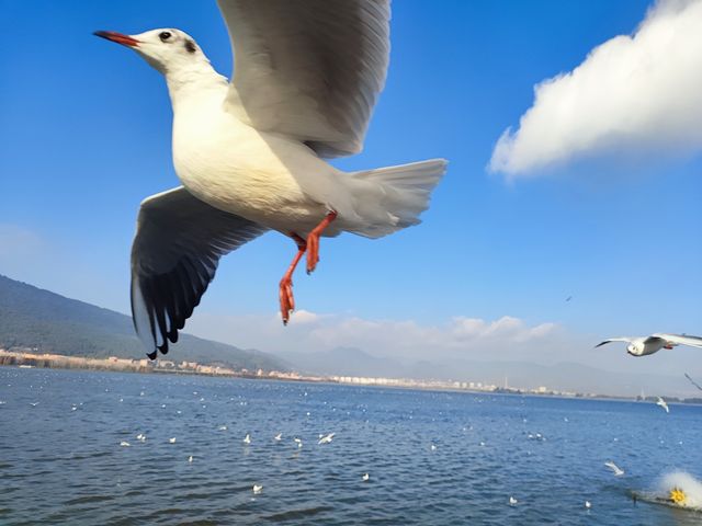 自駕雲南行