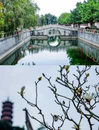 南沙燈會等你來