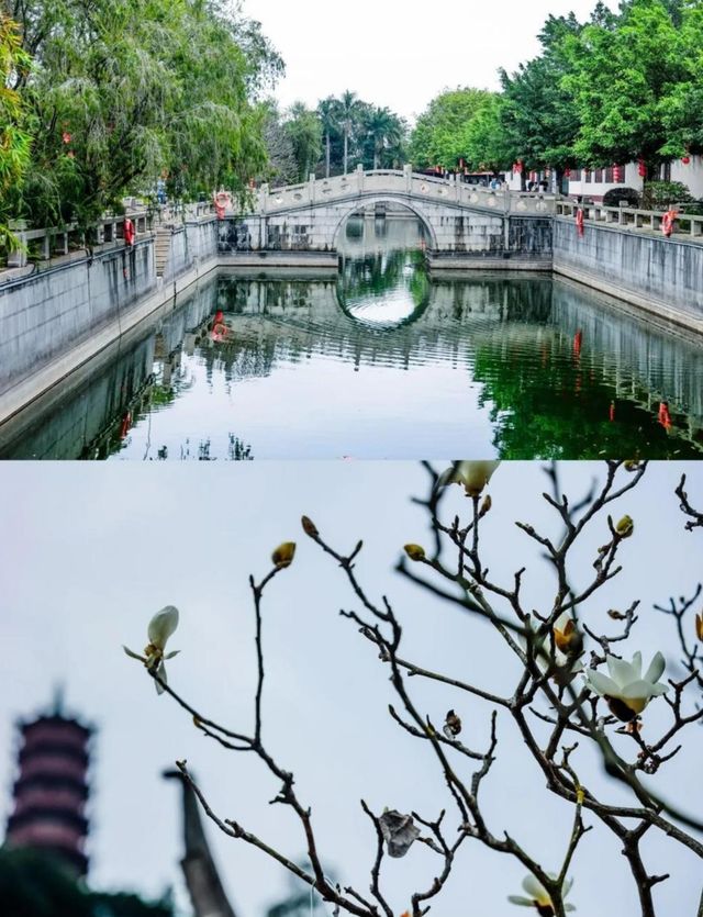 南沙燈會等你來