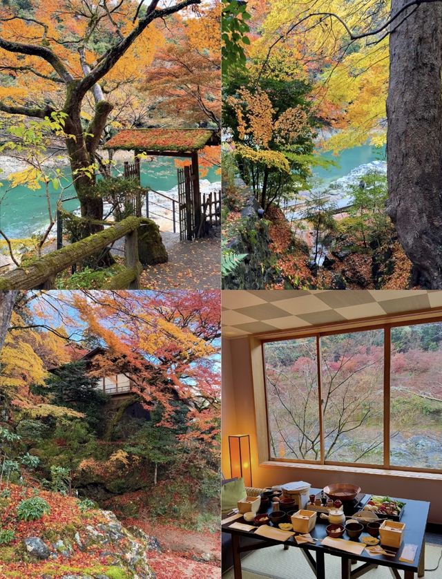 12月 京都 巔峰體驗