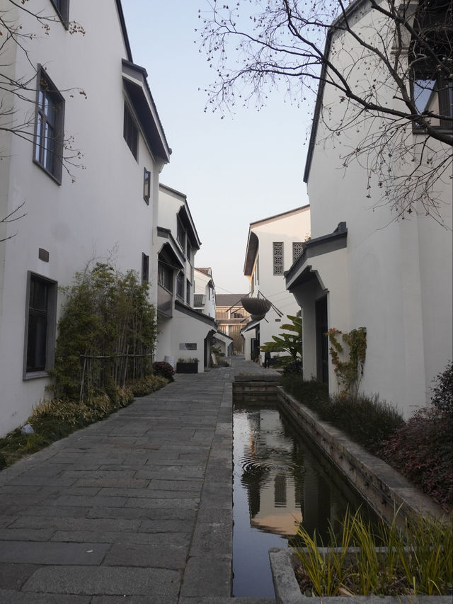 嘉興真好玩，還有粽子博物館