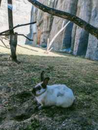 龍沙動植物園：動植物們的可愛小天地