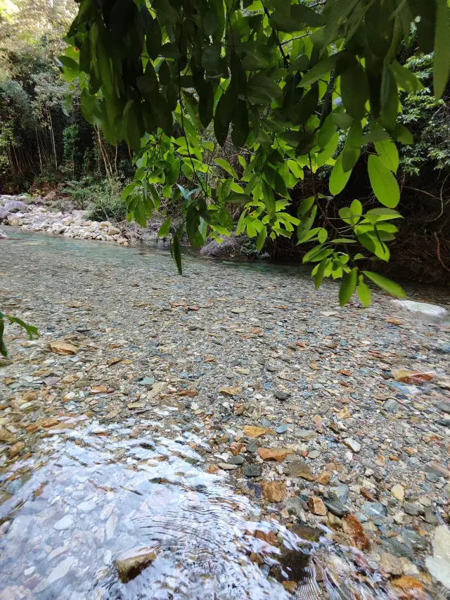 惠東3日間温泉の旅 心温まる快適な体験