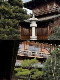 上海小眾寺廟｜避開人潮的靜謐治癒角落！