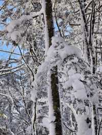 老里克湖徒步||喜歡玩雪的我很開心~~