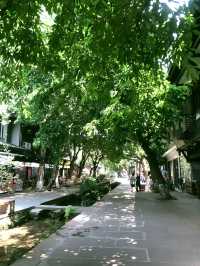 天然氧吧這些地方去一次，身心都被治癒