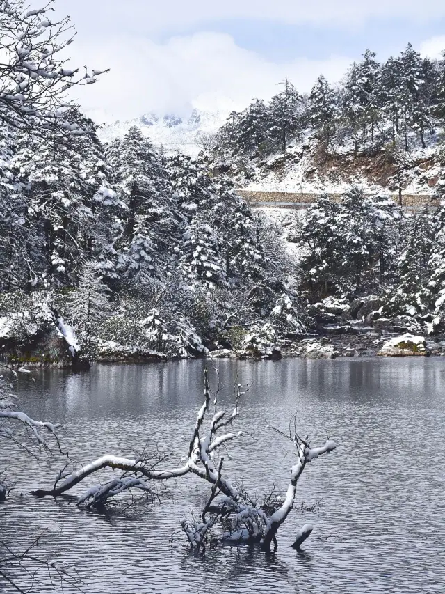 Kangding - Hailuogou Glacier Forest Park, China: A great place to take your kids!