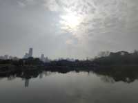 春和景明沙湖賞梅看平頭的606大廈