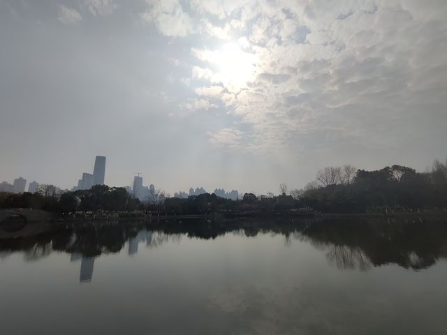 春和景明沙湖賞梅看平頭的606大廈