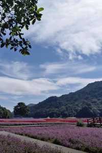 廣東寶藏森林公園，可駕車前往！