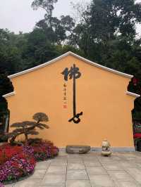 今天天氣不是很好，景色都這麼美！