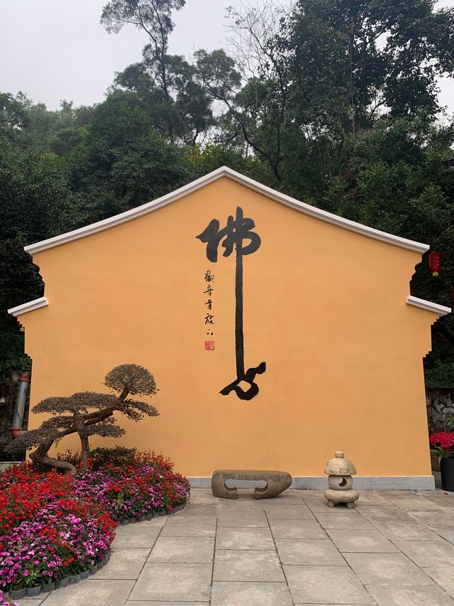 今天天氣不是很好，景色都這麼美！