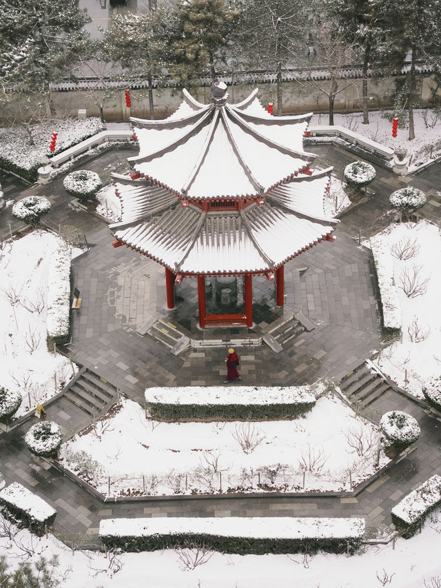 有多少人在等一場西安的大雪，雪落滿長安～