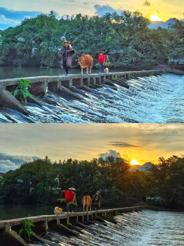 縉雲仙都。難怪唐僧師徒來了都要流連忘返