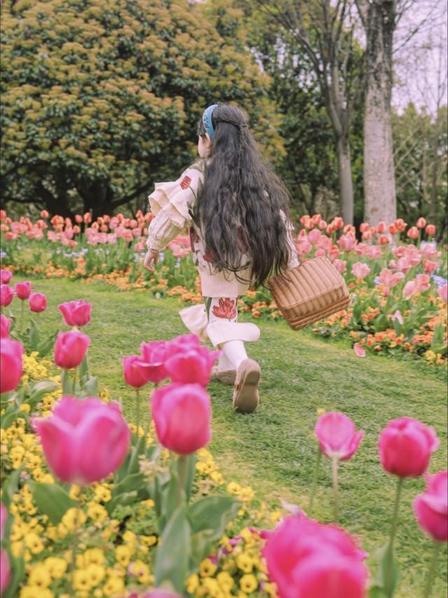 3月中旬不要錯過上海市區的這片鬱金香花海