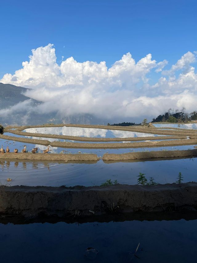 冬日雲南昆明-普者黑風景區7日遊 錯過你會後悔