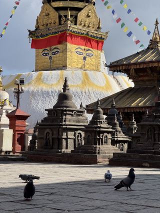8-Day Nepal Adventure: Discover Nature's Majesty