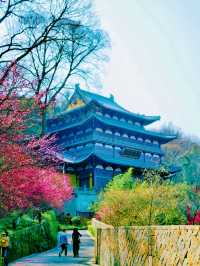 杭州淨慈禪寺超全攻略 祈福賞景兩不誤
