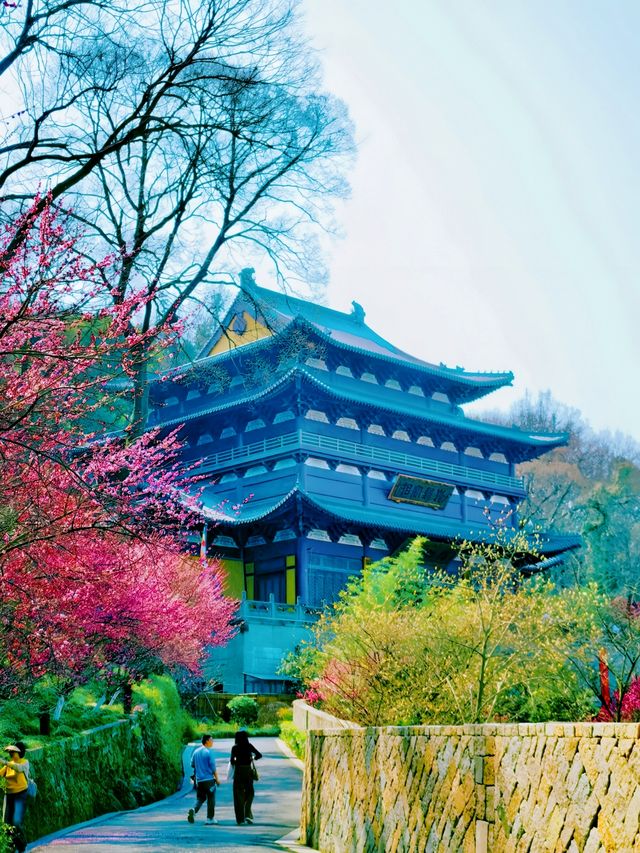杭州淨慈禪寺超全攻略 祈福賞景兩不誤
