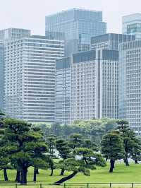 6日春遊日本 盡享絢爛櫻花盛宴