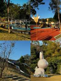 📍深圳｜恩上濕地公園👉週末吸氧好去處